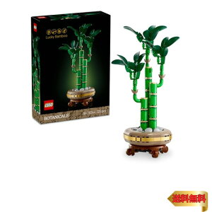 S(LEGO) {^jJ bL[ou[  ߋ a v[g ubN ̓ ̓ j  ϗtA tFCNO