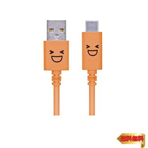GR USB TYPE C P[u ^CvC (USB A to USB C ) 3Ao͂Œ}[d USB2.0i 1.2m I