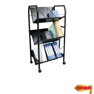 sf t@CbN t@CS3i ubN55×s40×112cm ubN ގ[ A4[ LX^[t 17613