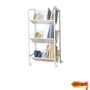 sf t@CbN t@CS 3i 55×s40×112cm zCg ގ[ A4[ LX^[t 13310