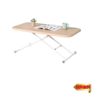 sf(Fujiboeki) ~e[u Z^[e[u 120~125×s60×12~70cm i` KX iK