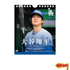 GXJC Jĕ 31N߂J_[ CL-553