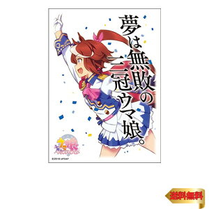 GXJC(ENSKY) E} gEJCeCI[ LN^[X[u TVAjwE} veB[_[r[x X[u65 ENM-