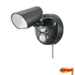 I[(OHM) ZT[Cg tbVňЊd ACd 1 monban hƃZT[Cg RZg 1000[ O