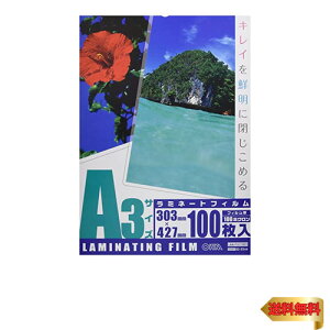 I[d@ 100~N~l[^[tB100 A3 LAM-FA31003
