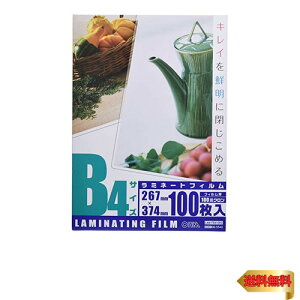 I[d@ 100~N~l[^[tB B4 100 LAM-FB41003