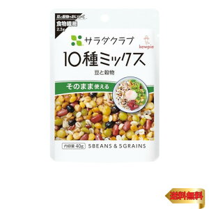 L[s[ T_Nu 10~bNX(ƍ) 40g×10 퉷ۑ H@