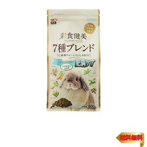 GEX WFbNX ʐH 7uh얞 7̘aAE@ېz 얞PA [pt[h] 800O (x 1)