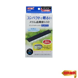 WFbNX GEX NALED tbeB ubN XPxLED 40cmȉ