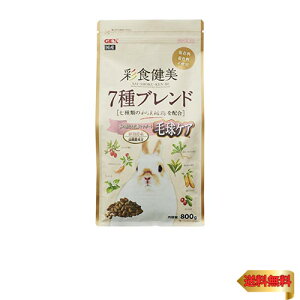 GEX WFbNX ʐH 7uhы 800g aAE@ېEyfz ыPA [pt[h] 800O (x