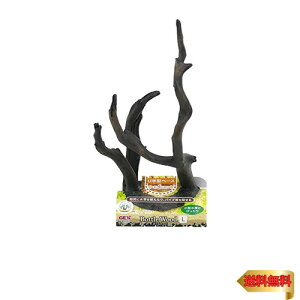 WFbNX GEX i {gEbh L ^p CAEg } IuWF OXANA L TCY