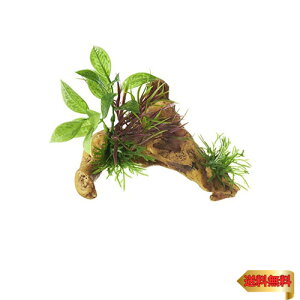 GEX ジェックス 癒し水景 水草付き流木 ニードル 水槽用オーナメント リアルな見た目の人工流木