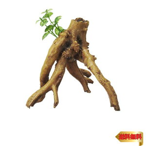 GEX ジェックス 癒し水景 水草付き流木 ブランチ 水槽用オーナメント リアルな見た目の人工流木