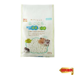 GEX WFbNX _ zCgpv}bg 400g