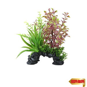 GEX WFbNX i MIXvc ~jA[` bh^ pI[ig A[`^lH