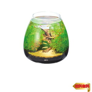 WFbNX GEX AQUARIUM OXANA eBA[-N ANAE ^  eE