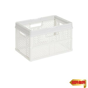 Vn(Tenma) ܂肽ŃRpNgɂȂ鎝t̎[{bNX i ܂肽݃oXPbg LTCY ɓރfUC̐܂