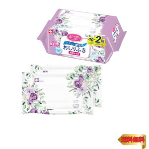 bN(LEC) z lp gCɗ ӂ 唻TCY (30×20cm) 40×2P / vȃV[gł@