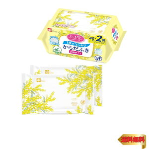 bN(LEC) z lp 炾ӂ 唻^Cv (30×20cm) 40×2P / vȃV[gł@/{/