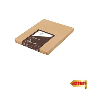 RN(KOKUYO) Pg A4 100 230g Z-KP39