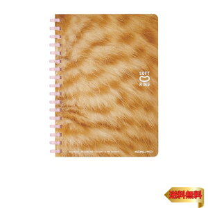 RN \tgO m[g 10NLO ՂɂՂɎq˂ A6 5mm g X-SV358S5-L1-3