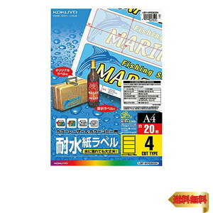 �R�N�� �J���[���[�U�[ �J���[�R�s�[ �ϐ� ���x�� 4�� ���� 20�� LBP-WP6905N