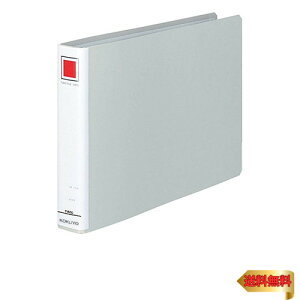 RN t@C pCvt@C A4 2 300e Vo[ t-E635C