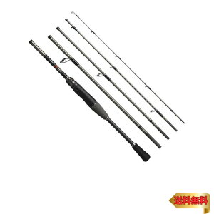 V}m(SHIMANO) t[X^Cbh 24 AtBbNX S64L-5