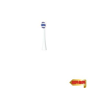 yizpi\jbN ւuV hc g[^PAuV 2{  EW0810-W