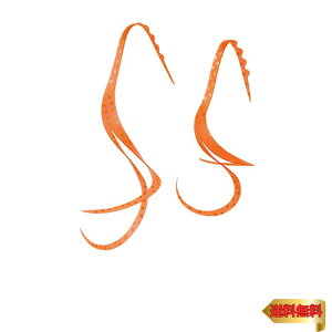 ܂(Gamakatsu)  VRlN^C XbgJ[[ #51 IWbhS[hX|bg