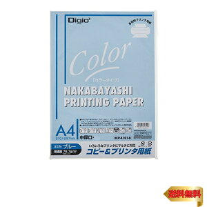 iJoV Rs[&v^p J[^Cv A4 100 u[ HCP-4101-B