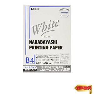 iJoV Rs[&v^p zCg^Cv B4 100 W-11