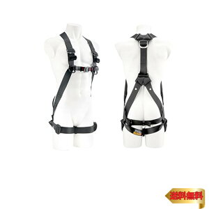 ^W} VKiS tn[lXGS{̂̂ X`[obNf MTCY Ȃx[VbNtBbg\ ɐH܂Ȃ46