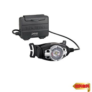 ^W}(Tajima) LEDwbhCg F421D Vo[