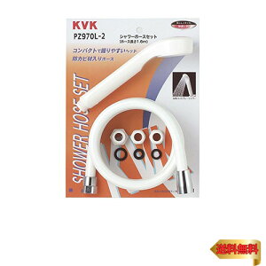 KVK oXpV[Zbg PZ970L-2