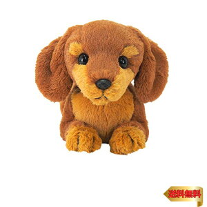 T Ђ  ~j`A_bNX CguE S 14×40×17cm ʂ Aj}