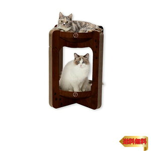 �L�� �o���o���{�E���^���[�c (���M�����[ �_�[�N�u���E��)