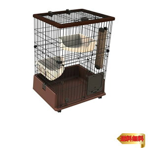 yeBI (Petio) lRR eL̂ɂ҂ Lbg[T[N 2i^Cv uE