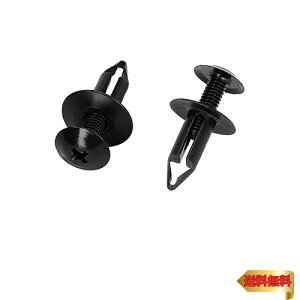 G[(amon) XNxbg (Yԗp) ^CnEXp 5 J[t@Xi[ Nbv s 3881