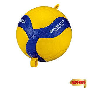 ~JT(MIKASA) SЂŒ莮 A^bNKo[{[ 5(ʁEwEZp) CG[/u[ V300W-AT-TR 