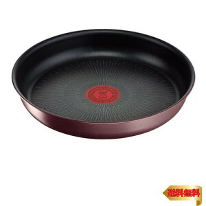 eBt@[ ̂Ƃ tCp 22cm IH KXΑΉ PFOAȂǂ̗LQsgp uCWjIElI IH}uEEA