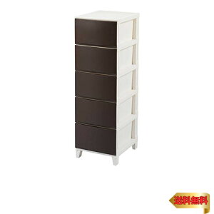 TJ [X [ `FXg uE X 5i (34×s42×107cm) Xƈo XLbƒ܂o LY