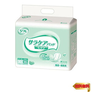 t TPApbh rbO Apbh (6z / 30) lpނ h~ (jp/pi) pbh^Cv
