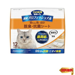 jƂgC [L ďC jICubNz] LvtFbVi ELERۃV[g 12 [LpVXegCV[g]