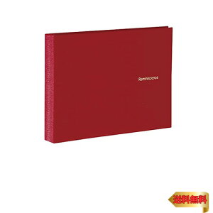 ZLZC SEKISEI ~j|PbgAo LTCY40 bh XP-5540-20