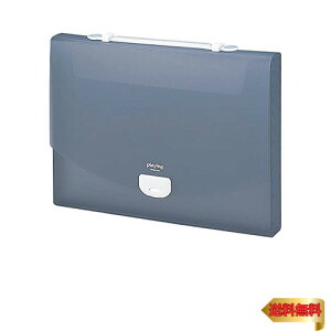 ZLZC hLgt@C vCO 2EFCP[X A4 O[ AP-952