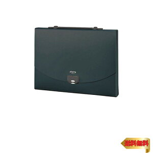 ZLZC hLgt@C vCO 2EFCP[X A4 ubN AP-952