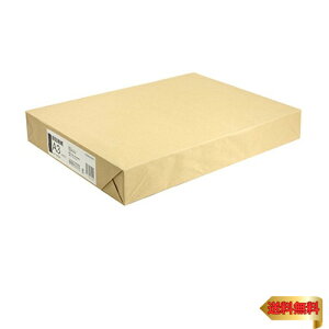 RN(KOKUYO) ڕ\ A3 100 ZC-845