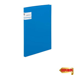 ZLZC NAt@C Ah A4-S 30|Pbg u[ AD-2031