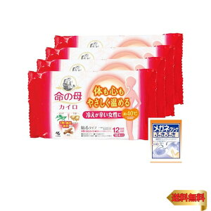 ˊD ̕JC \yz ₦h ߗނɓ\JC 10×4 t XN̏ɂ₳ ₦΍ɂߏ